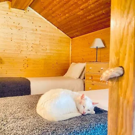 Σαλέ Casa Da Venda Spa - Vista Geres